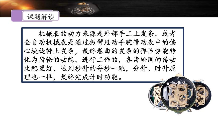 新统编版小学语文六下 5-16《表里的生物》课件（第一课时）第6页