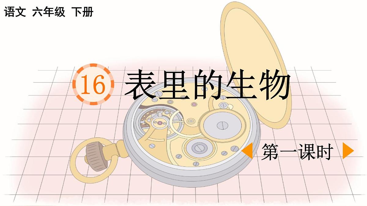 新统编版小学语文六下 5-16《表里的生物》课件（第一课时）第1页