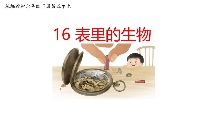统编版（2024）六年级语文下学期16表里的生物课件第1页
