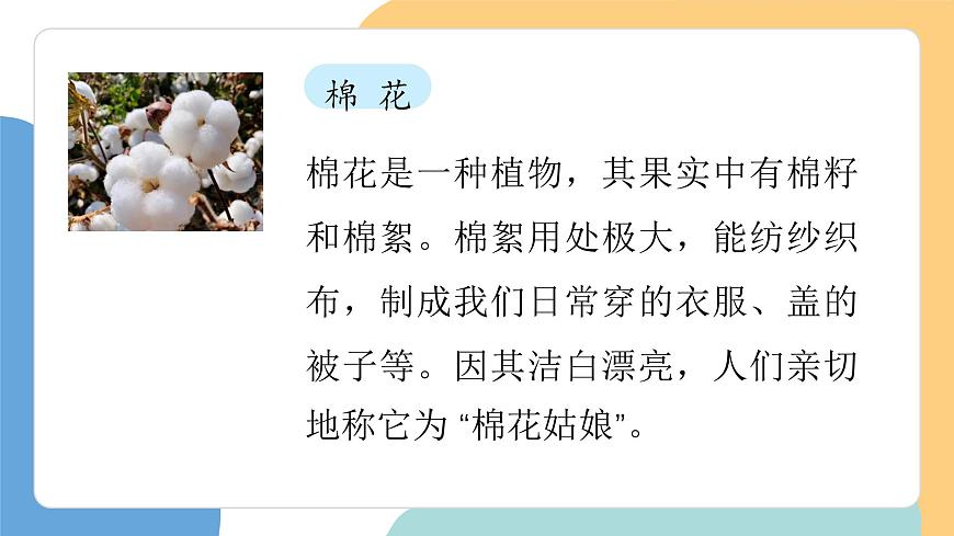 棉花姑娘（第1课时）第6页