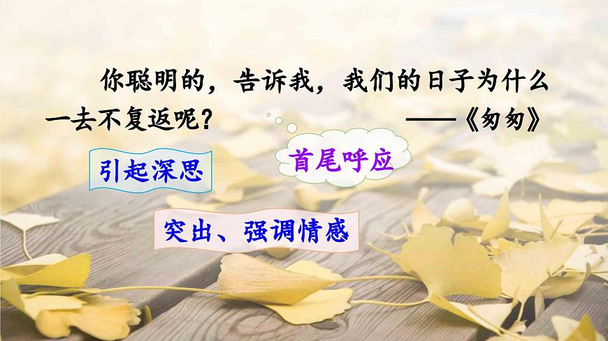 新统编版小学语文六下 《语文园地三》课件（第一课时）第7页