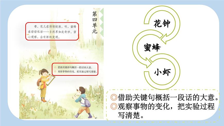 新统编版小学语文三下 4-13《花钟》新课标课件（第一课时）第2页