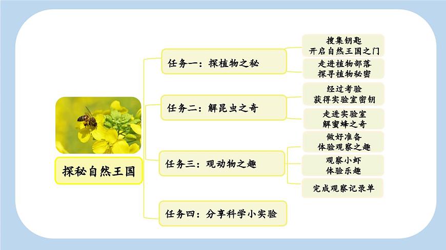 新统编版小学语文三下 4-13《花钟》新课标课件（第一课时）第3页