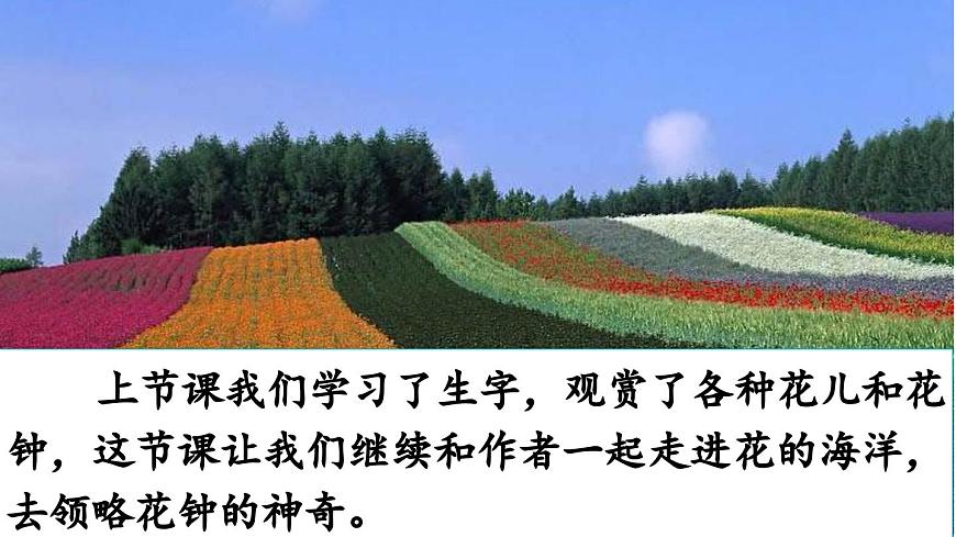 新统编版小学语文三下 4-13《花钟》课件（第二课时）第2页