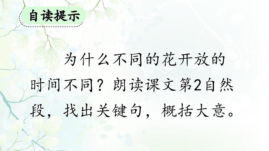 新统编版小学语文三下 4-13《花钟》课件（第二课时）第4页