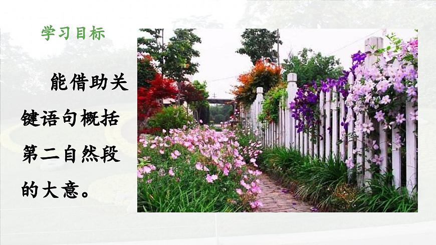 新统编版小学语文三下 4-13《花钟》 课件（第二课时）第2页