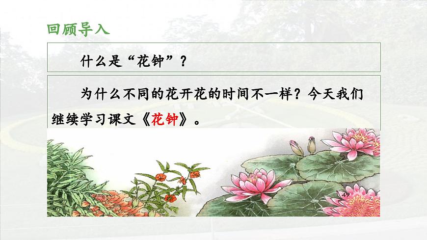 新统编版小学语文三下 4-13《花钟》 课件（第二课时）第3页