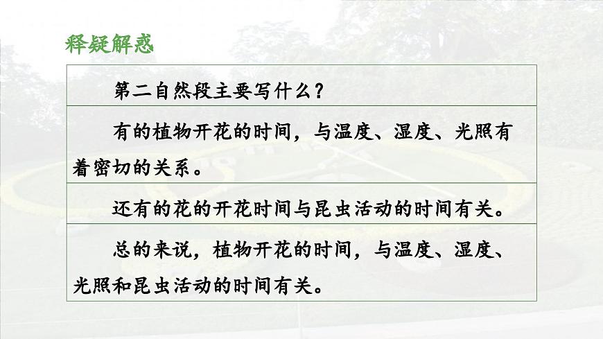 新统编版小学语文三下 4-13《花钟》 课件（第二课时）第5页