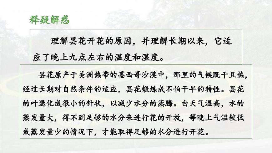 新统编版小学语文三下 4-13《花钟》 课件（第二课时）第8页