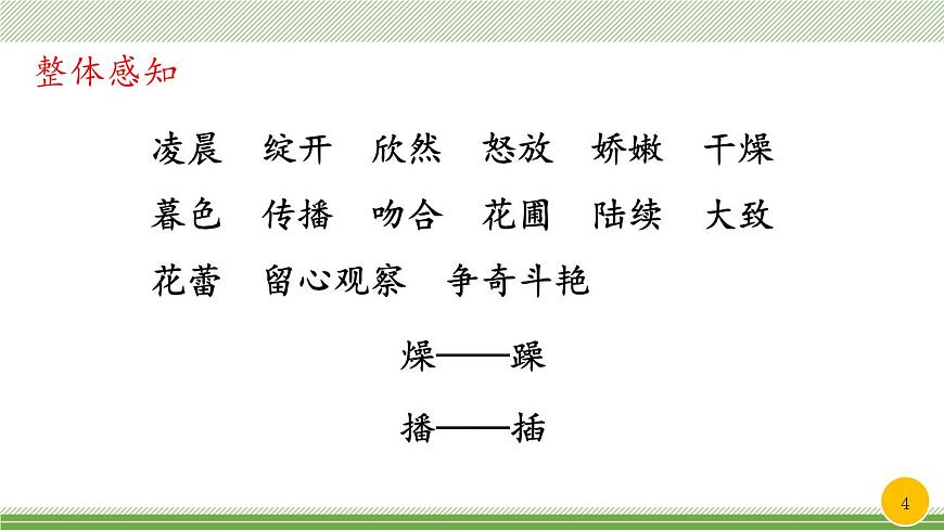 新统编版小学语文三下 4-13《花钟》教学课件（第一课时）第4页