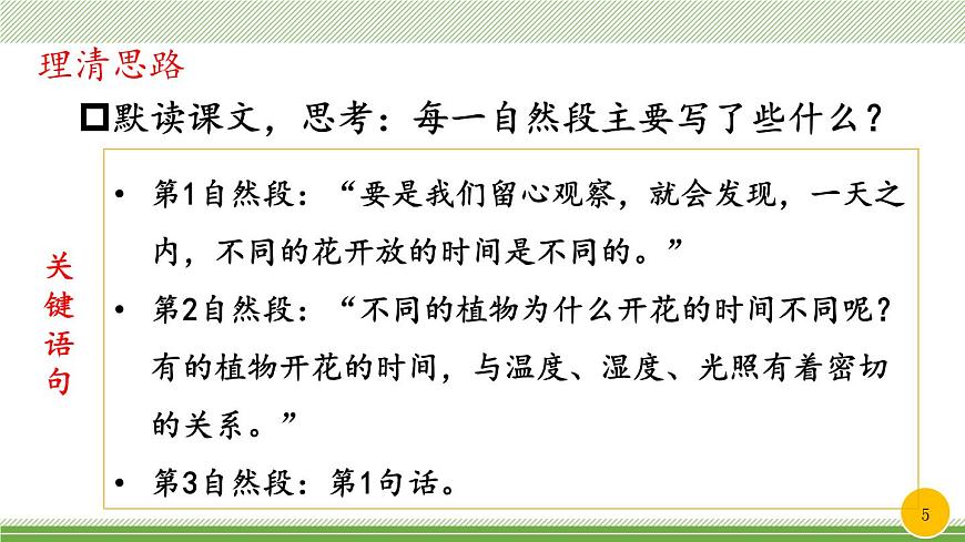 新统编版小学语文三下 4-13《花钟》教学课件（第一课时）第5页