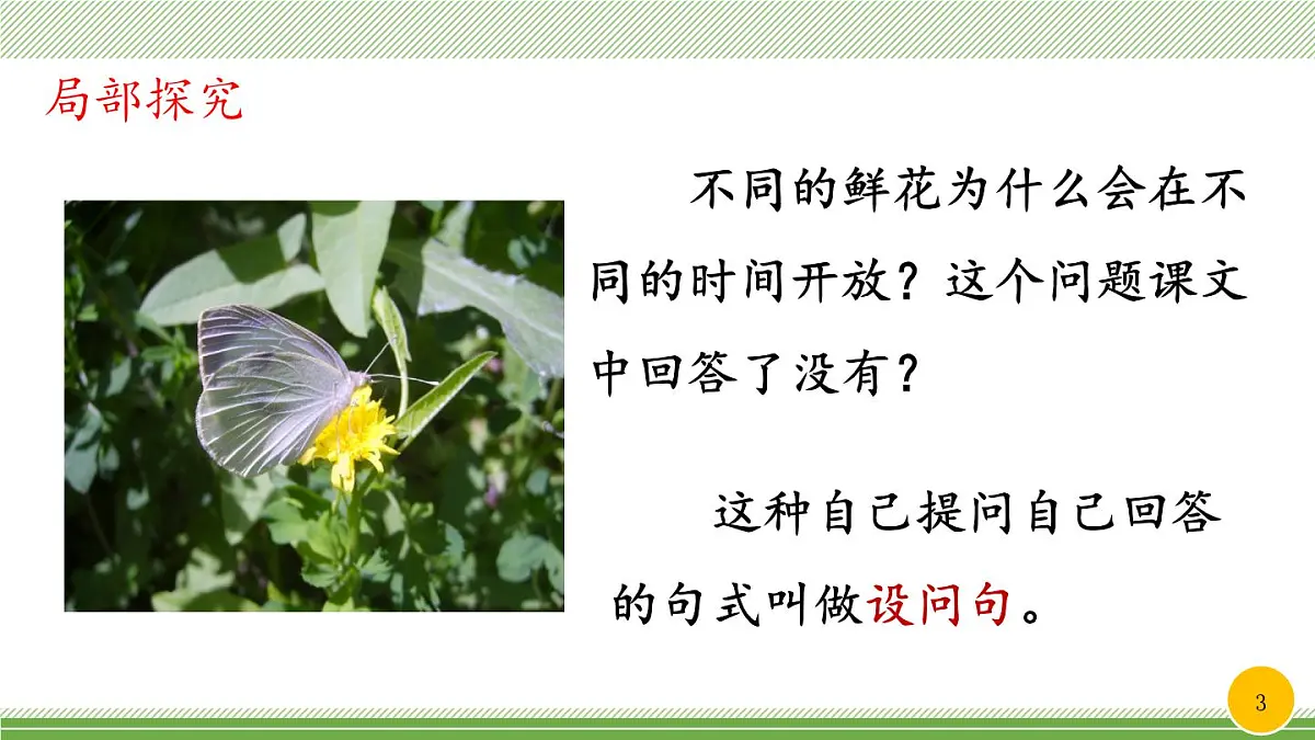 新统编版小学语文三下 4-13《花钟》教学课件（第二课时）第3页