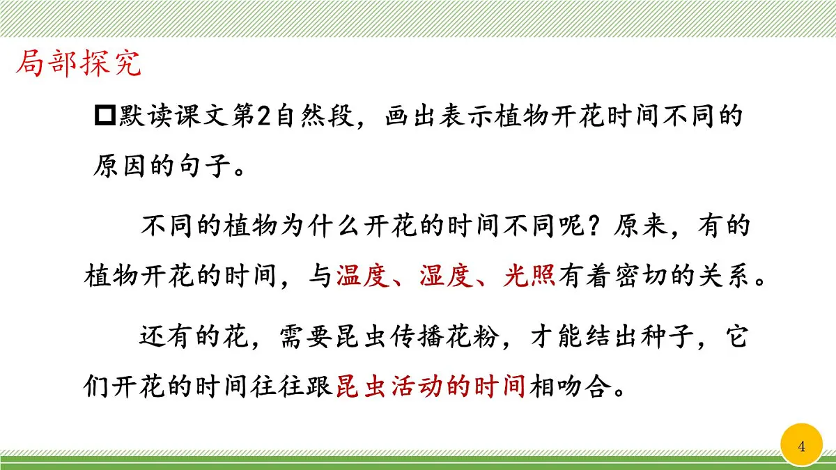 新统编版小学语文三下 4-13《花钟》教学课件（第二课时）第4页