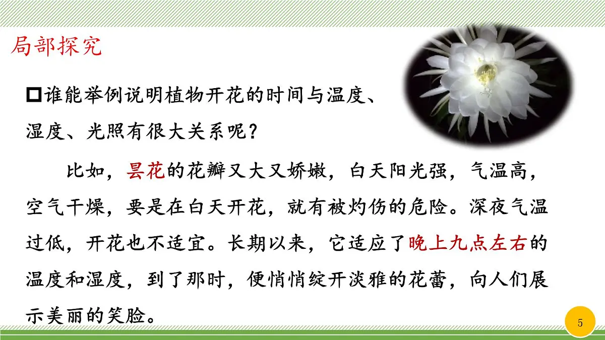 新统编版小学语文三下 4-13《花钟》教学课件（第二课时）第5页