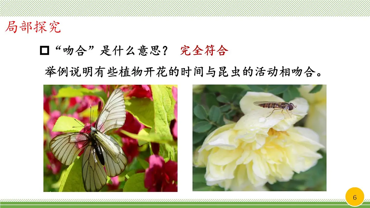 新统编版小学语文三下 4-13《花钟》教学课件（第二课时）第6页