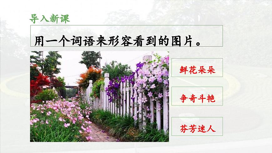 新统编版小学语文三下 4-13《花钟》 课件（第一课时）第3页