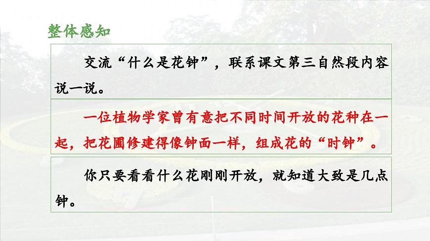 新统编版小学语文三下 4-13《花钟》 课件（第一课时）第8页