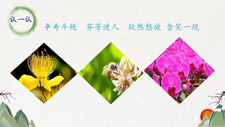 新统编版小学语文三下 4-13《花钟》课件第5页