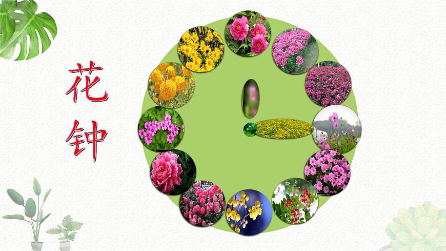 新统编版小学语文三下 4-13《花钟》课件第1页