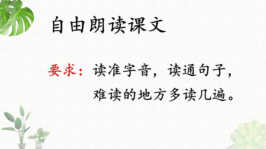 新统编版小学语文三下 4-13《花钟》课件第3页