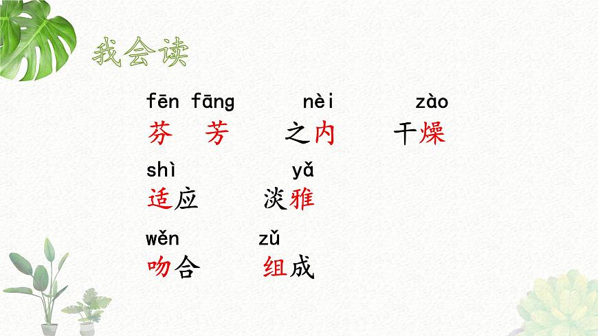 新统编版小学语文三下 4-13《花钟》课件第4页