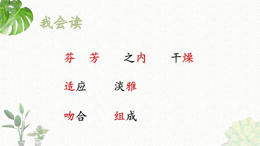 新统编版小学语文三下 4-13《花钟》课件第5页