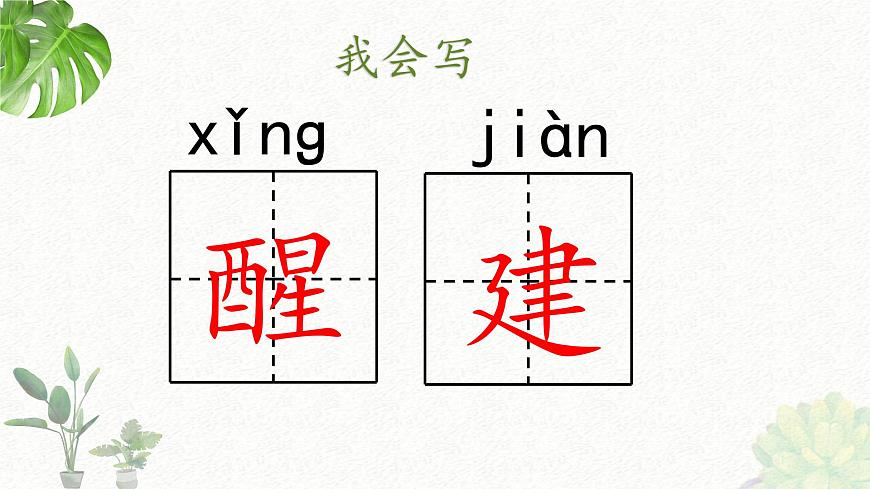 新统编版小学语文三下 4-13《花钟》课件第7页