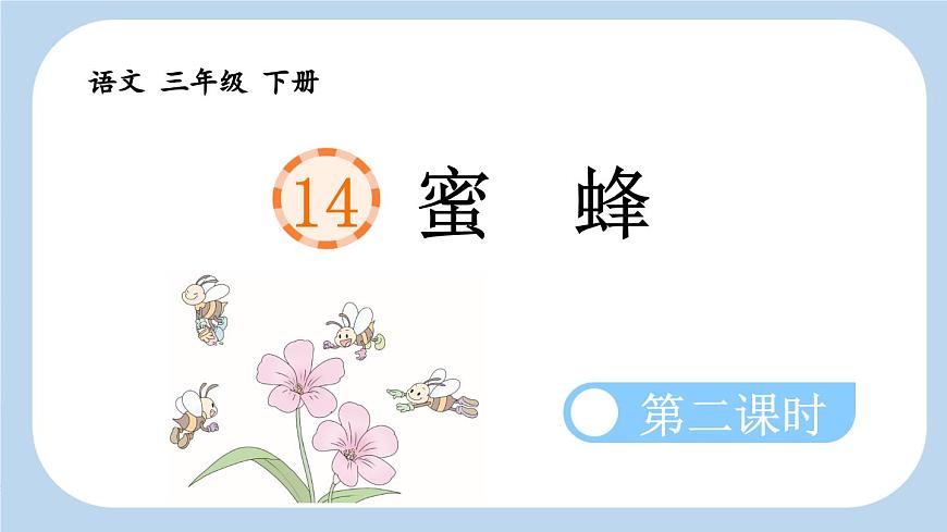 新统编版小学语文三下 4-14《蜜蜂》新课标课件（第二课时）第1页
