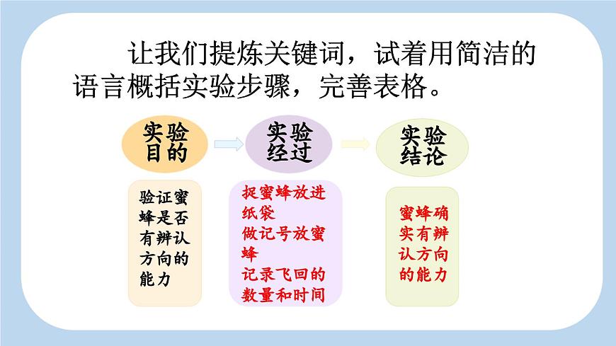 新统编版小学语文三下 4-14《蜜蜂》新课标课件（第二课时）第4页
