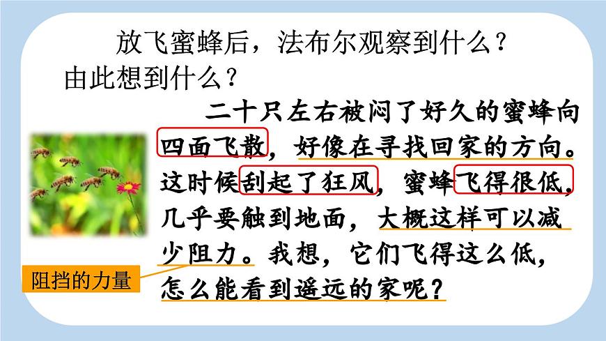 新统编版小学语文三下 4-14《蜜蜂》新课标课件（第二课时）第8页