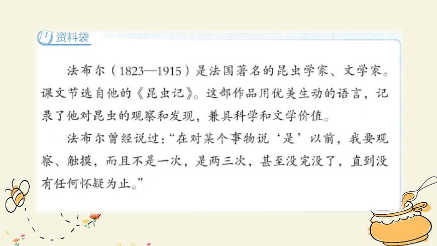 新统编版小学语文三下 4-14《蜜蜂》课件（第一课时）第3页