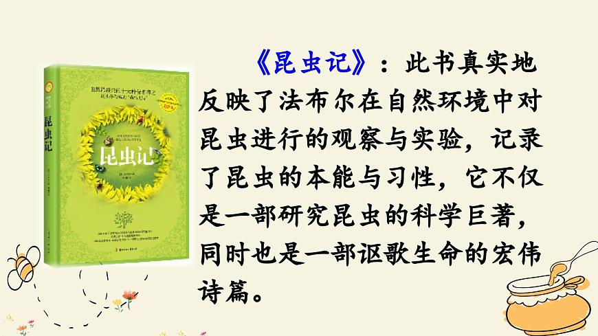 新统编版小学语文三下 4-14《蜜蜂》课件（第一课时）第4页