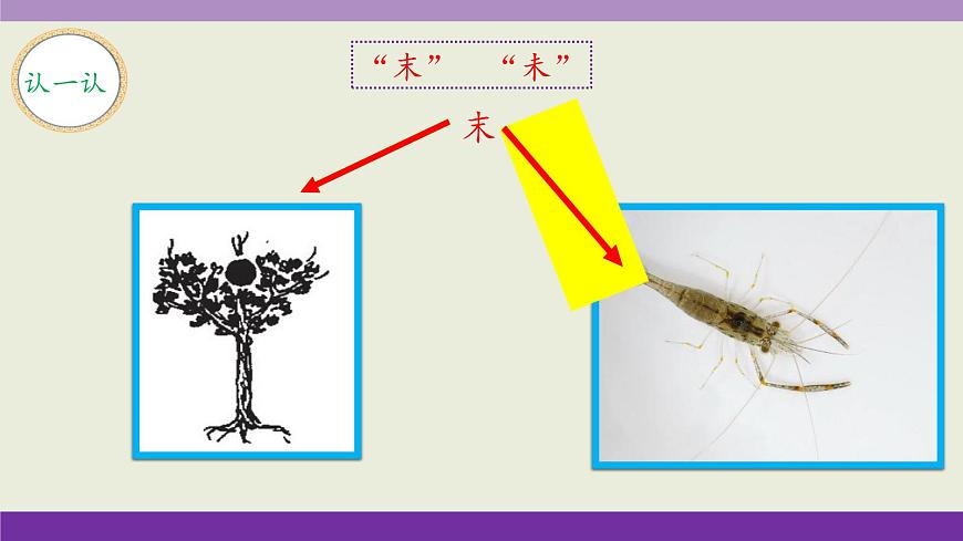 新统编版小学语文三下 4-15《小虾》课件第5页