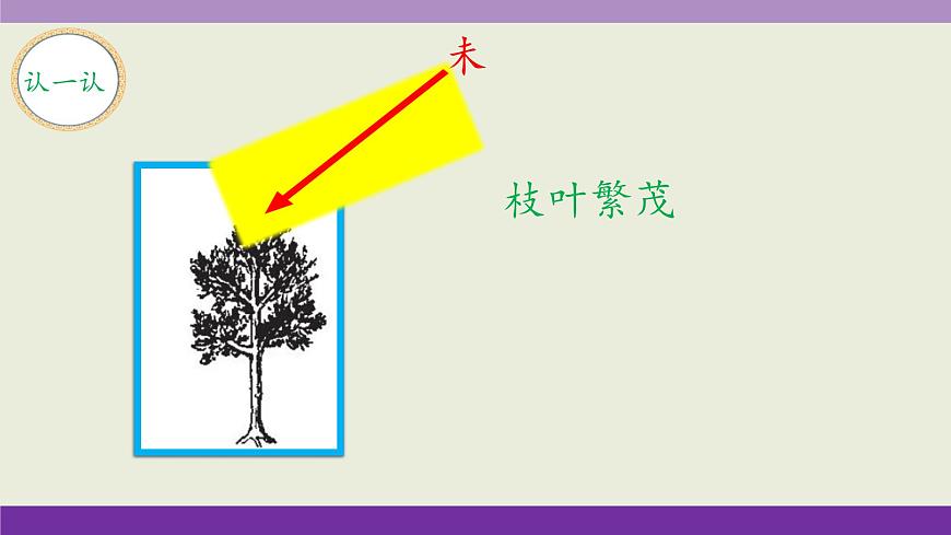 新统编版小学语文三下 4-15《小虾》课件第6页
