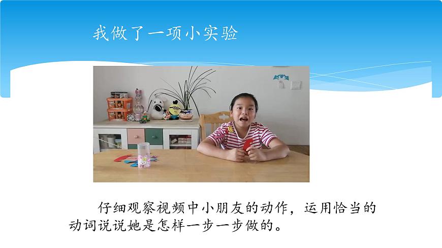 新统编版小学语文三下 第四单元《我做了一项小实验》课件第6页