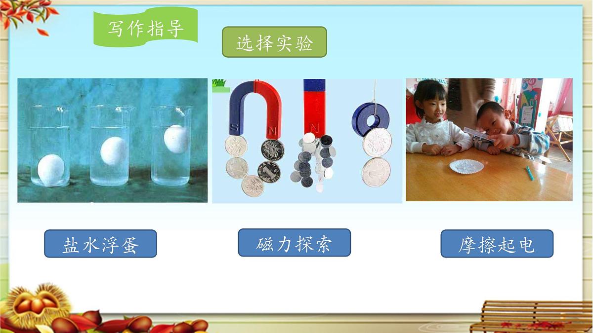新统编版小学语文三下 第四单元《我做了一项小实验》课件第4页