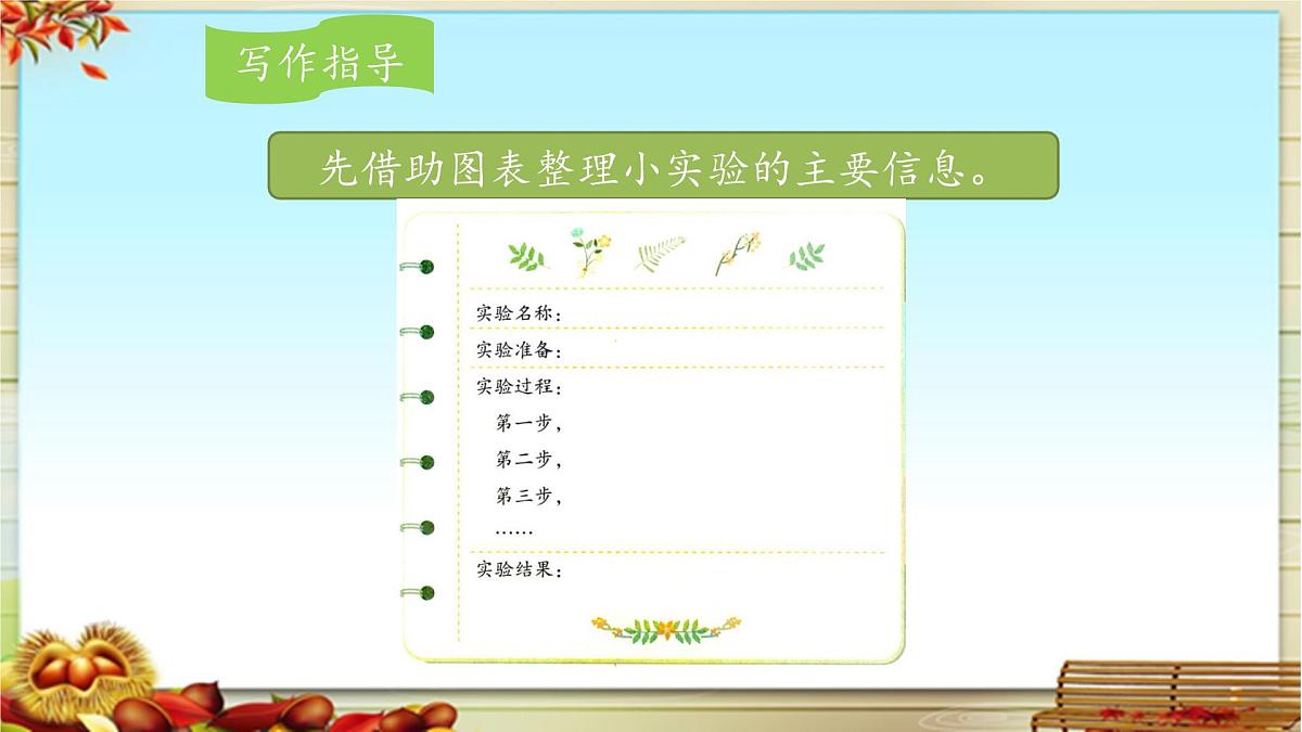 新统编版小学语文三下 第四单元《我做了一项小实验》课件第5页