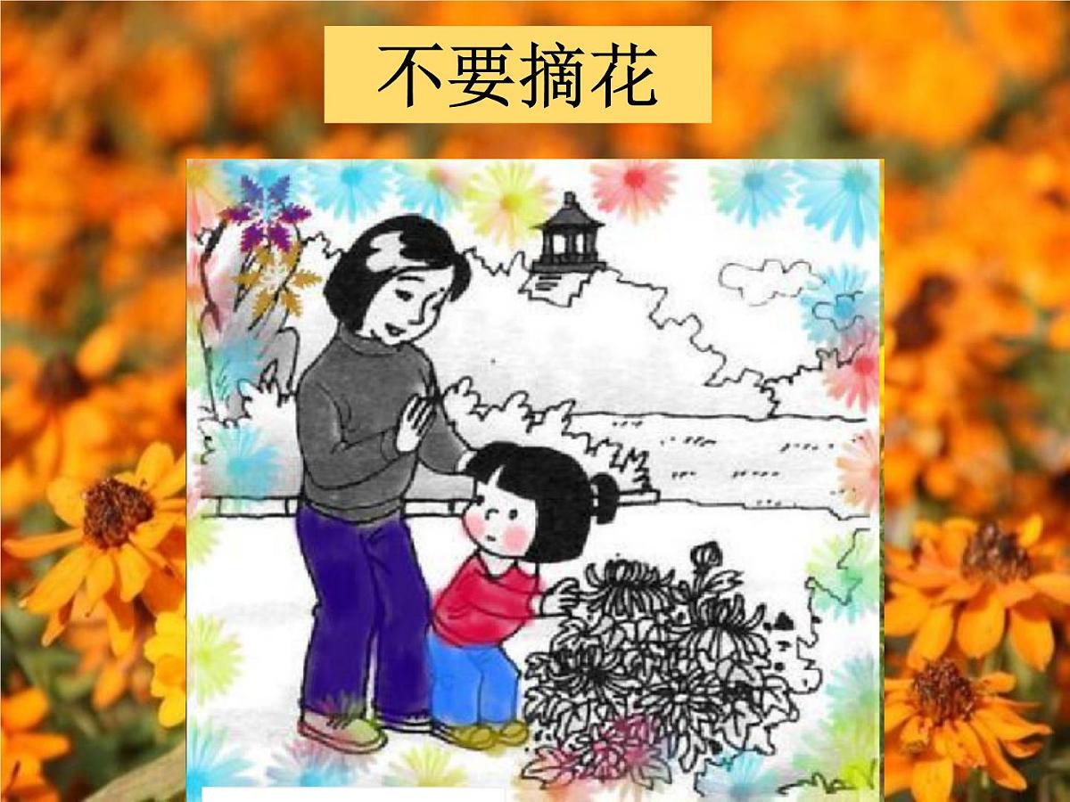 部编版小学语文一下看图写话ppt课件7不要摘花第1页