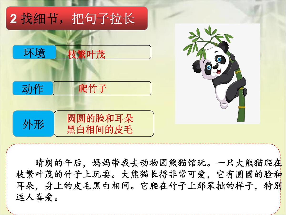 部编版小学语文一下看图写话ppt课件16可爱的大熊猫第3页