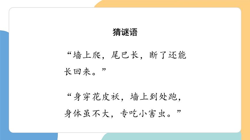 小壁虎借尾巴（第1课时）第4页