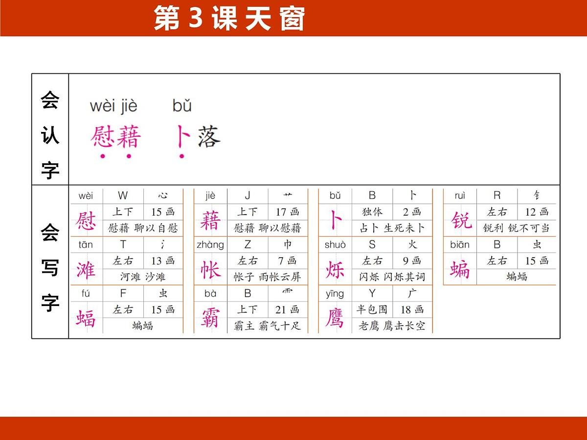 统编版语文四年级下册3《天 窗》 期中复习课件第3页