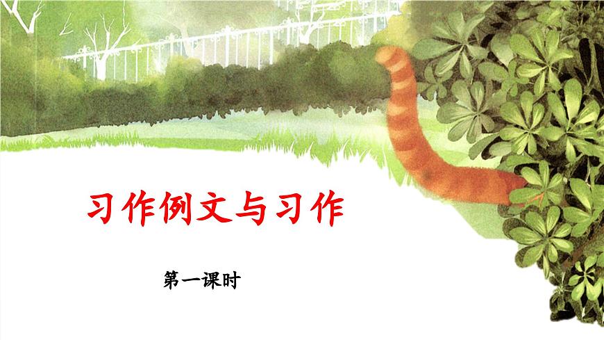 新统编版小学语文三下 第五单元《习作例文与习作 奇妙的想象》 课件（第一课时）第1页