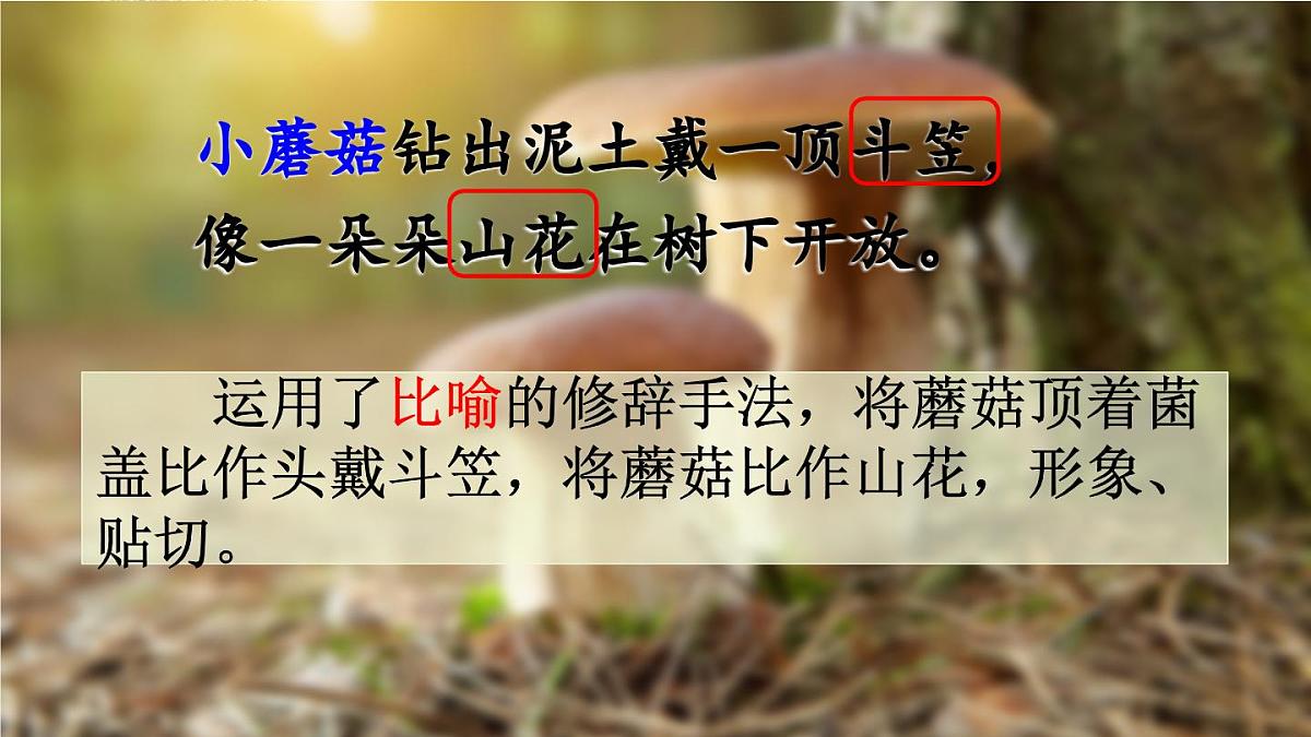 新统编版小学语文三下 6-18《童年的水墨画》课件（第二课时）第7页