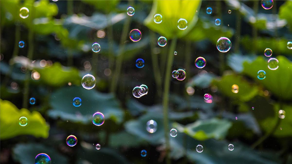 新统编版小学语文三下 6-20《肥皂泡》课件第1页