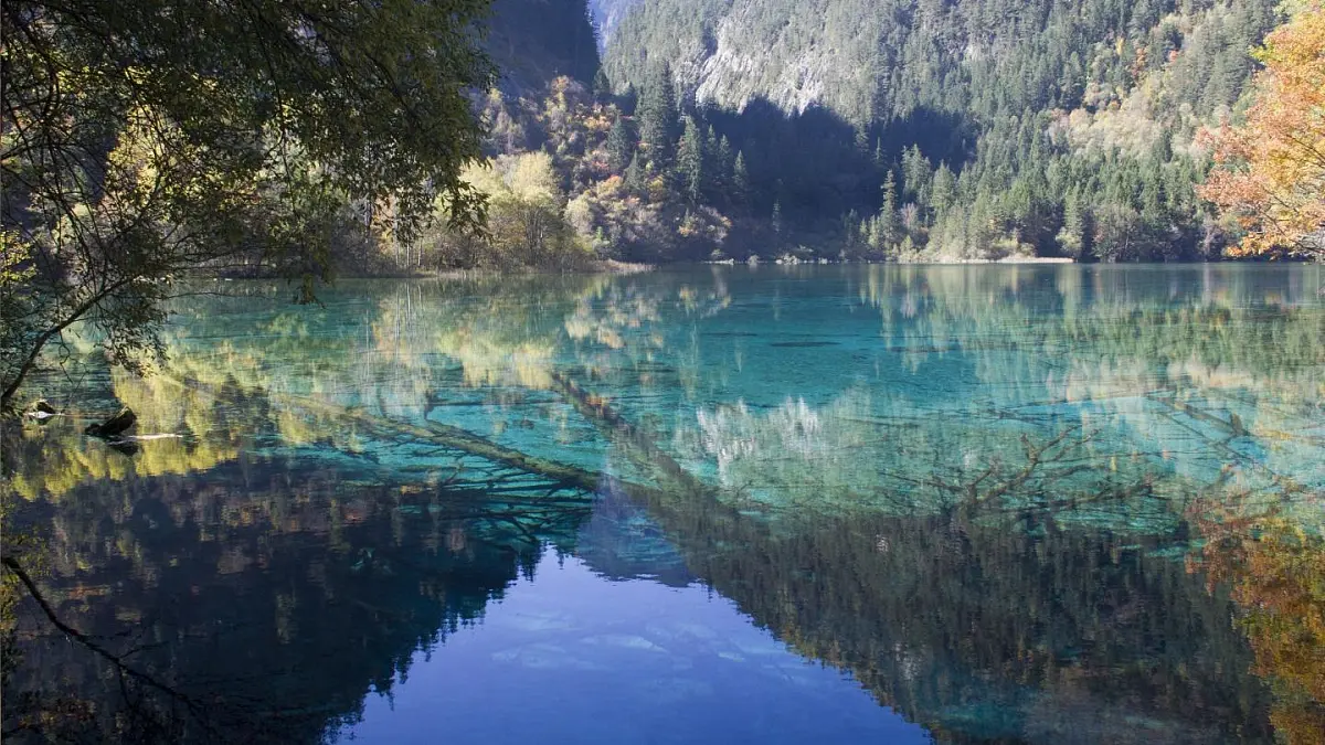 新统编版小学语文三下 7-22《我们奇妙的世界》课件第1页