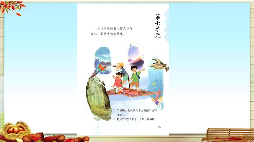 新统编版小学语文三下 7-22《我们奇妙的世界》课件第1页