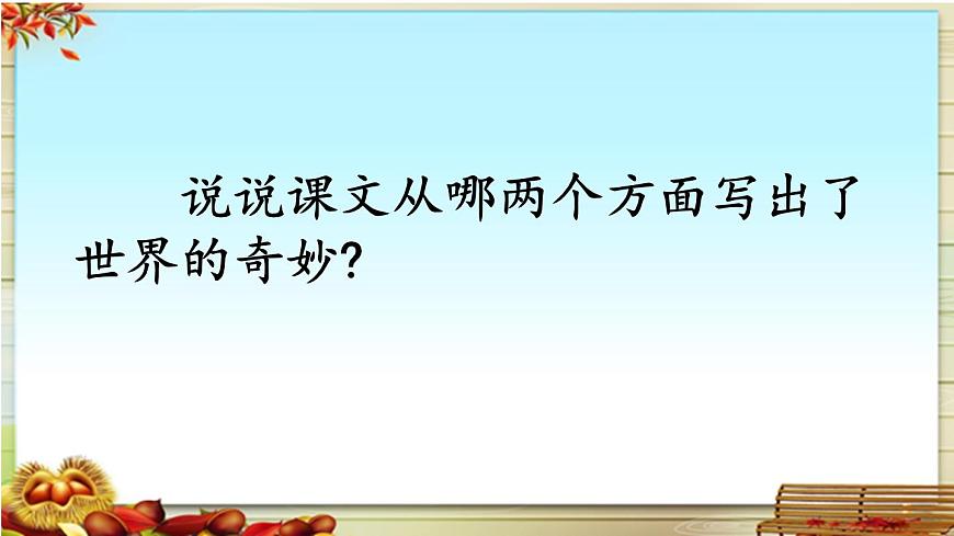 新统编版小学语文三下 7-22《我们奇妙的世界》课件第6页