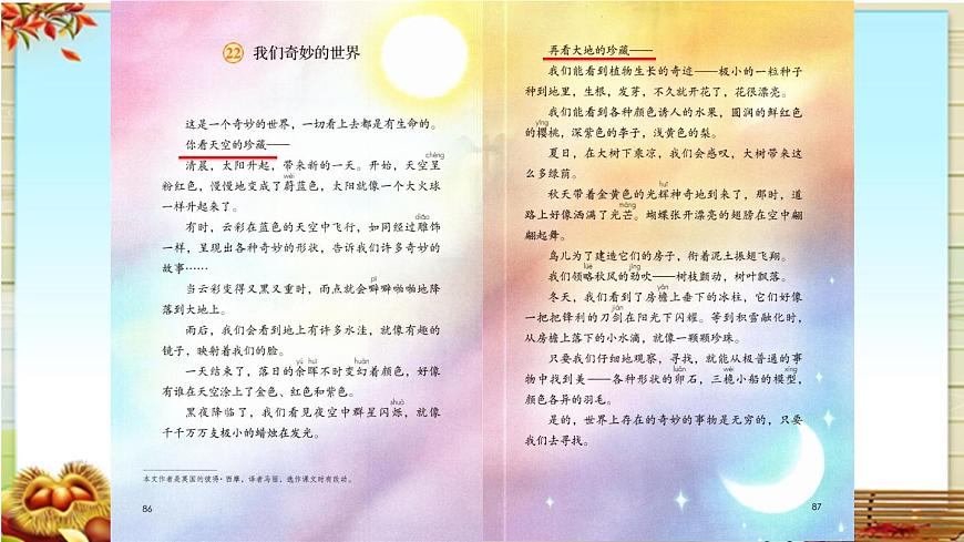 新统编版小学语文三下 7-22《我们奇妙的世界》课件第7页