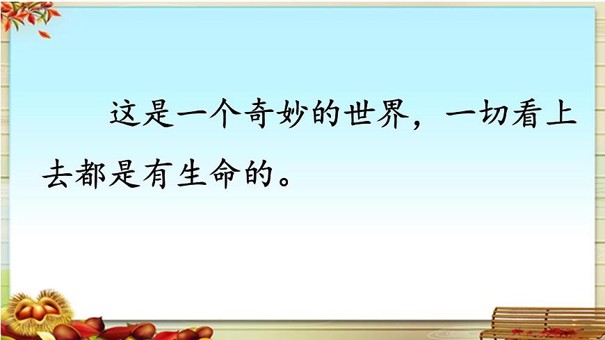 新统编版小学语文三下 7-22《我们奇妙的世界》课件第8页