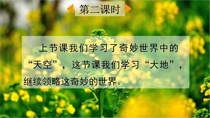 新统编版小学语文三下 7-22《我们奇妙的世界》课件（第二课时）第2页